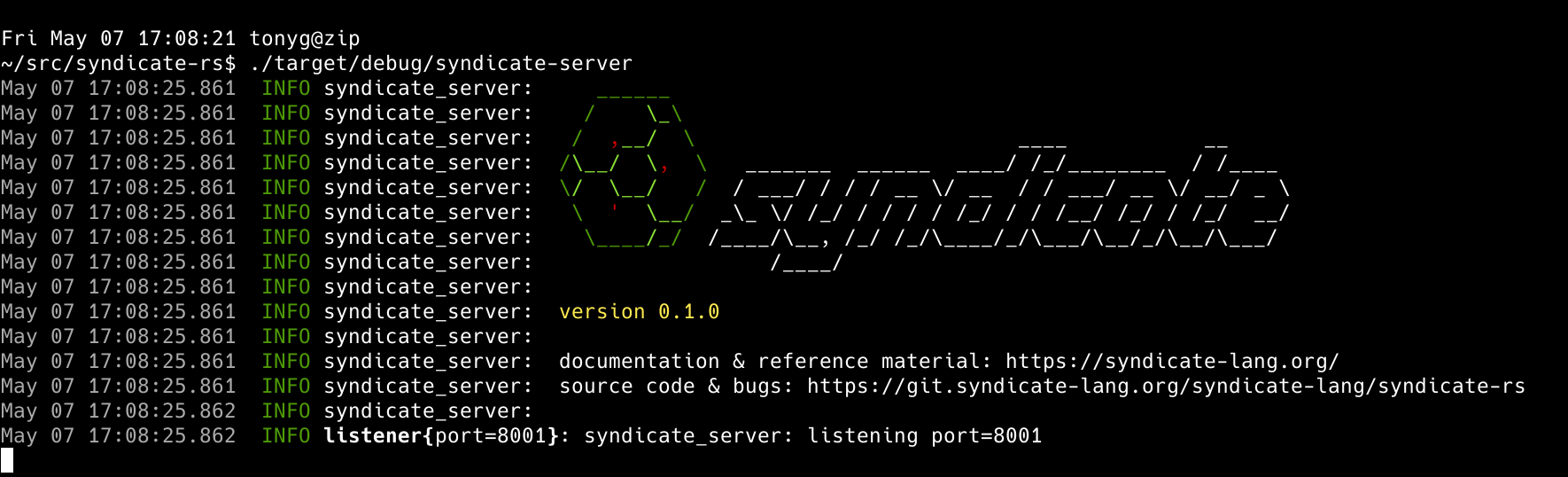 Screenshot of the server running